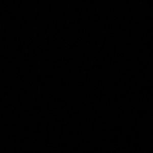 Meet your Posher, Jonah